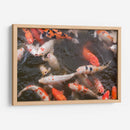 Peces Koi - Wandering Pixels Co. | Cuadro decorativo de Canvas Lab