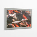 Peces Koi - Wandering Pixels Co. | Cuadro decorativo de Canvas Lab