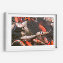 Peces Koi - Wandering Pixels Co. | Cuadro decorativo de Canvas Lab