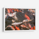 Peces Koi - Wandering Pixels Co. | Cuadro decorativo de Canvas Lab