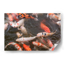 Peces Koi - Wandering Pixels Co. | Cuadro decorativo de Canvas Lab