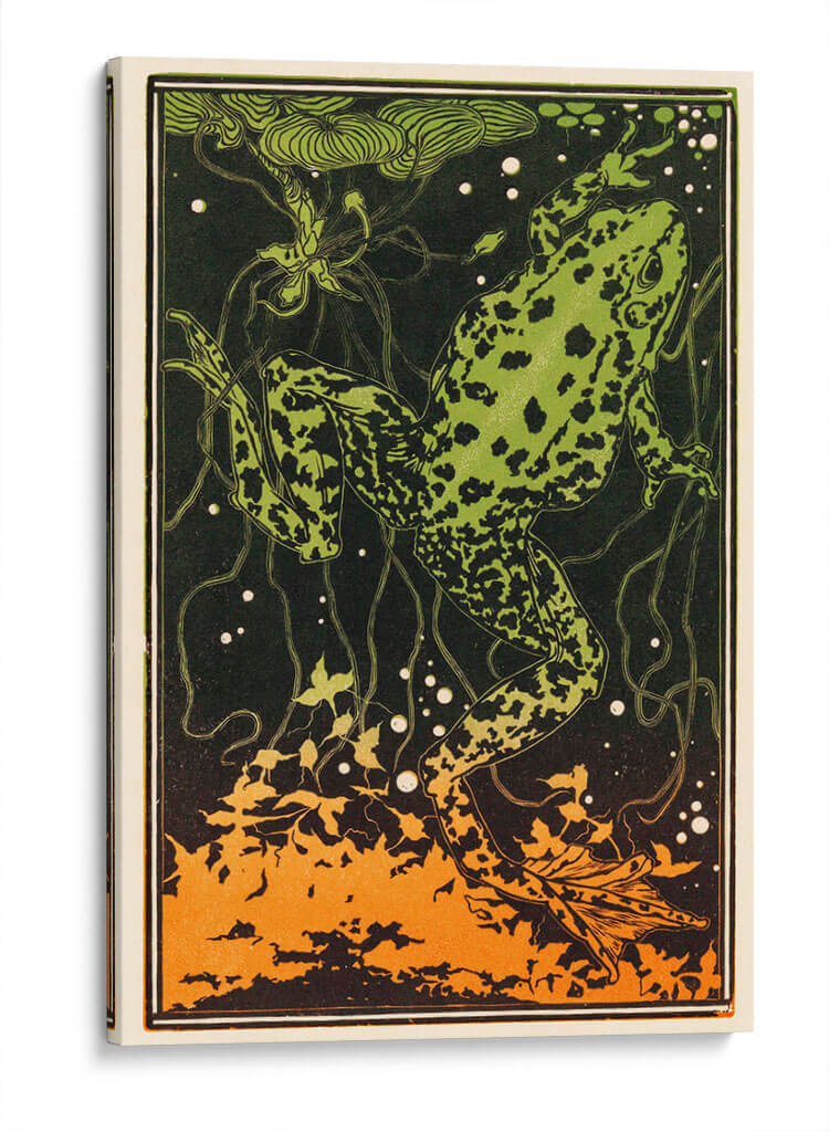 Rana nadando - I - Julie de Graag | Cuadro decorativo de Canvas Lab