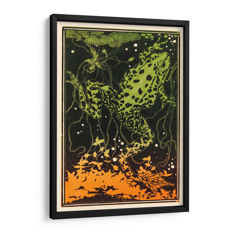 Rana nadando - I - Julie de Graag | Cuadro decorativo de Canvas Lab