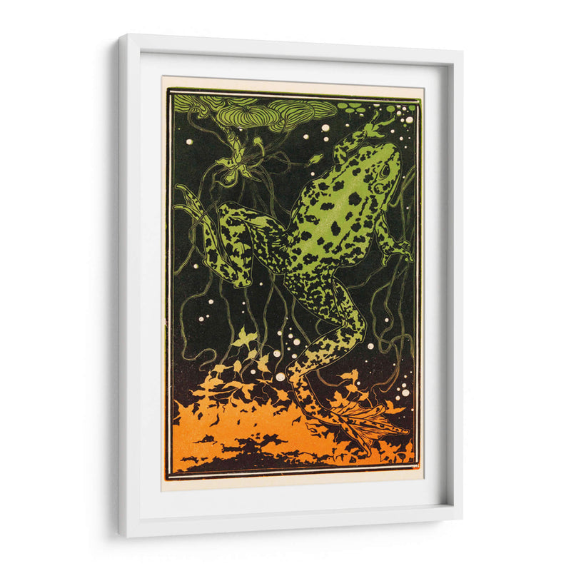 Rana nadando - I - Julie de Graag | Cuadro decorativo de Canvas Lab