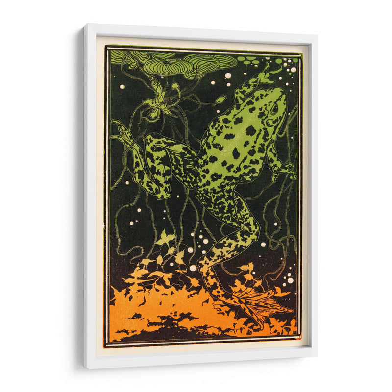 Rana nadando - I - Julie de Graag | Cuadro decorativo de Canvas Lab