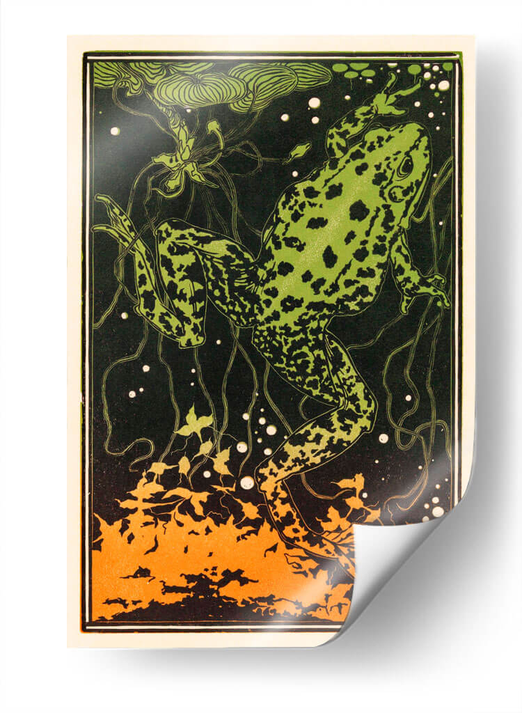 Rana nadando - I - Julie de Graag | Cuadro decorativo de Canvas Lab