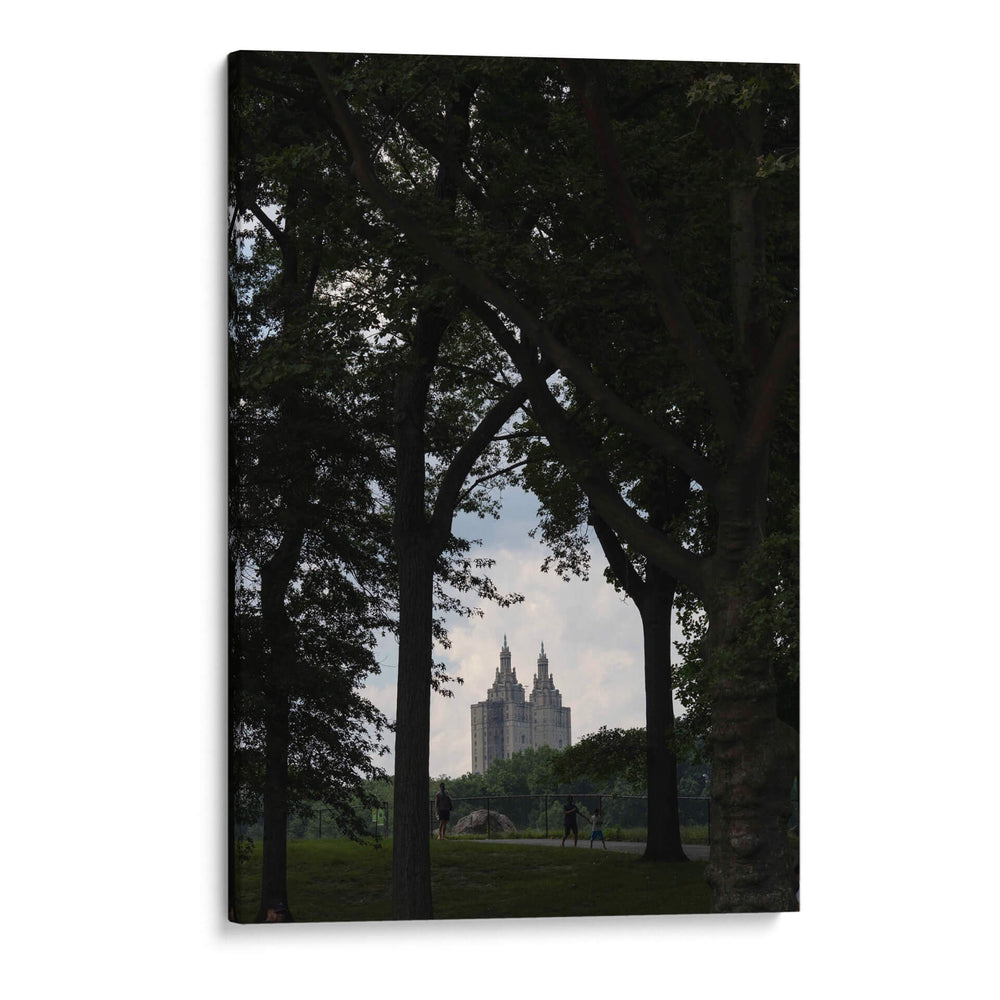Ventana entre los Árboles de Manhattan - Wandering Pixels Co. | Cuadro decorativo de Canvas Lab