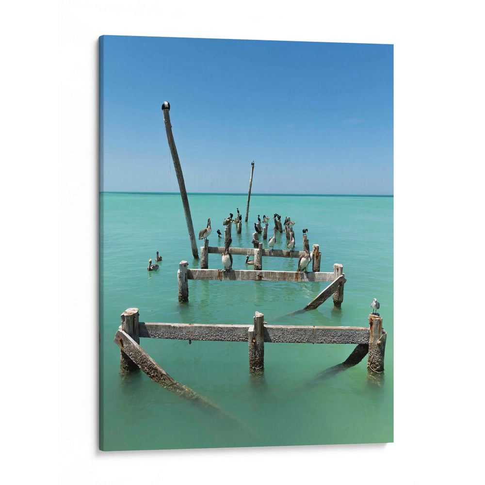 Pelicanos en el mar de Holbox - Wandering Pixels Co. | Cuadro decorativo de Canvas Lab
