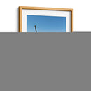 Pelicanos en el mar de Holbox - Wandering Pixels Co. | Cuadro decorativo de Canvas Lab