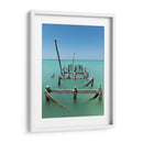 Pelicanos en el mar de Holbox - Wandering Pixels Co. | Cuadro decorativo de Canvas Lab