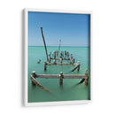 Pelicanos en el mar de Holbox - Wandering Pixels Co. | Cuadro decorativo de Canvas Lab