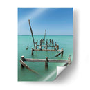 Pelicanos en el mar de Holbox - Wandering Pixels Co. | Cuadro decorativo de Canvas Lab