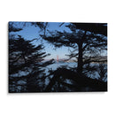 Golden Gate en la mira - Wandering Pixels Co. | Cuadro decorativo de Canvas Lab