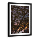 Puesta de sol a través de las ramas - Wandering Pixels Co. | Cuadro decorativo de Canvas Lab