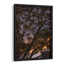 Puesta de sol a través de las ramas - Wandering Pixels Co. | Cuadro decorativo de Canvas Lab