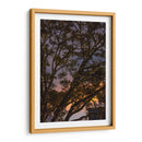 Puesta de sol a través de las ramas - Wandering Pixels Co. | Cuadro decorativo de Canvas Lab