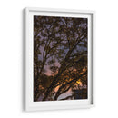 Puesta de sol a través de las ramas - Wandering Pixels Co. | Cuadro decorativo de Canvas Lab