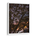Puesta de sol a través de las ramas - Wandering Pixels Co. | Cuadro decorativo de Canvas Lab
