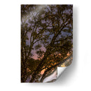 Puesta de sol a través de las ramas - Wandering Pixels Co. | Cuadro decorativo de Canvas Lab