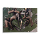 Todos los pelicanos por un pez - Wandering Pixels Co. | Cuadro decorativo de Canvas Lab