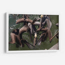 Todos los pelicanos por un pez - Wandering Pixels Co. | Cuadro decorativo de Canvas Lab