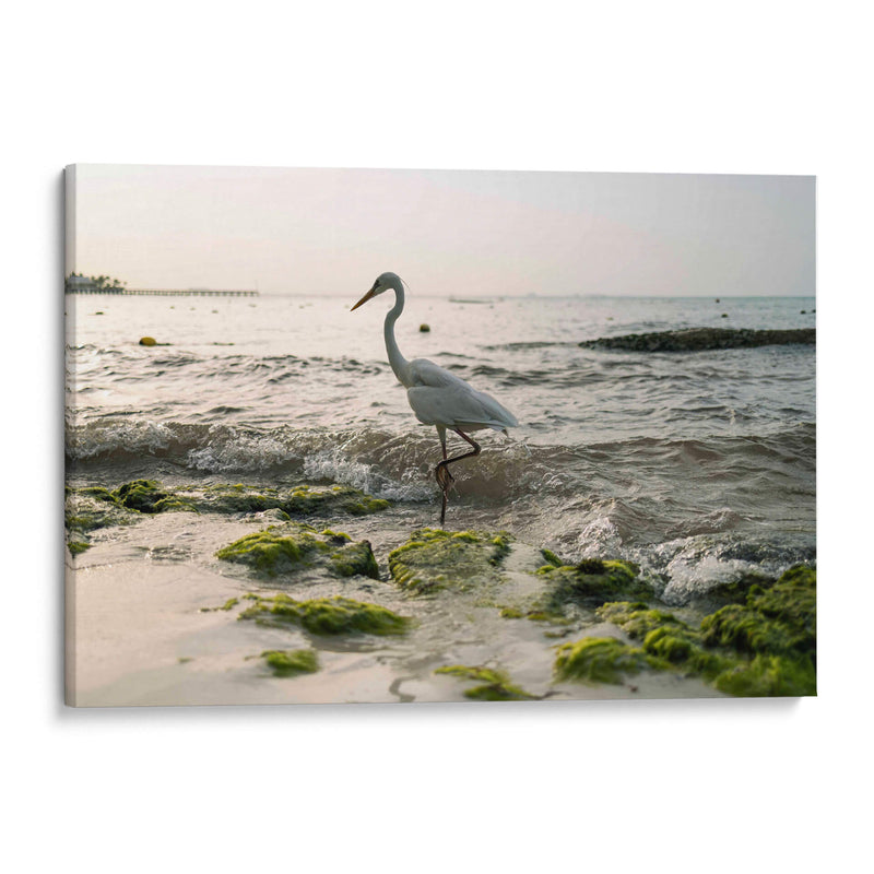 Garza en el mar - Wandering Pixels Co. | Cuadro decorativo de Canvas Lab