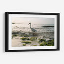 Garza en el mar - Wandering Pixels Co. | Cuadro decorativo de Canvas Lab
