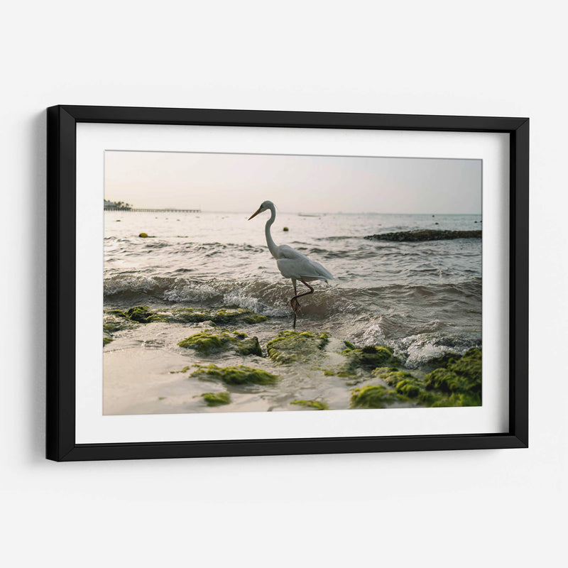 Garza en el mar - Wandering Pixels Co. | Cuadro decorativo de Canvas Lab