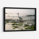 Garza en el mar - Wandering Pixels Co. | Cuadro decorativo de Canvas Lab