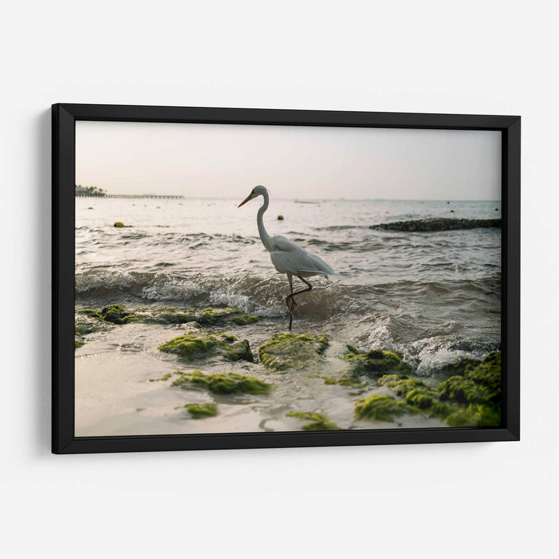 Garza en el mar - Wandering Pixels Co. | Cuadro decorativo de Canvas Lab