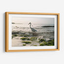 Garza en el mar - Wandering Pixels Co. | Cuadro decorativo de Canvas Lab