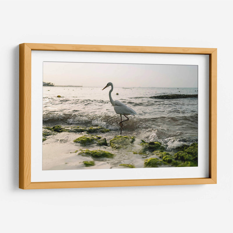Garza en el mar - Wandering Pixels Co. | Cuadro decorativo de Canvas Lab