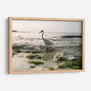 Garza en el mar - Wandering Pixels Co. | Cuadro decorativo de Canvas Lab