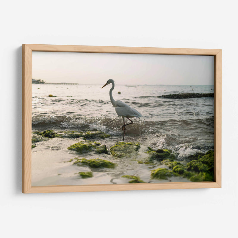 Garza en el mar - Wandering Pixels Co. | Cuadro decorativo de Canvas Lab