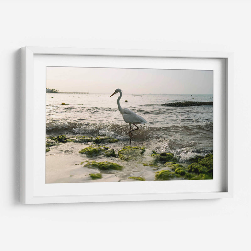 Garza en el mar - Wandering Pixels Co. | Cuadro decorativo de Canvas Lab