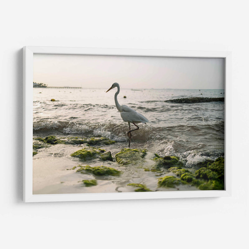 Garza en el mar - Wandering Pixels Co. | Cuadro decorativo de Canvas Lab