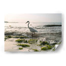 Garza en el mar - Wandering Pixels Co. | Cuadro decorativo de Canvas Lab