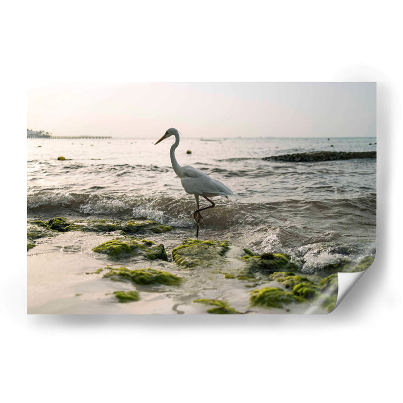 Garza en el mar - Wandering Pixels Co. | Cuadro decorativo de Canvas Lab