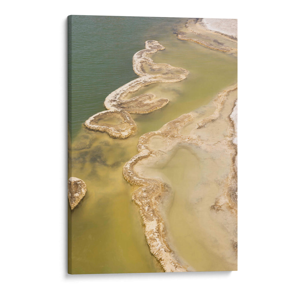 Vetas de sal - Wandering Pixels Co. | Cuadro decorativo de Canvas Lab