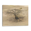 Sobra de árbol en Monte Albán - Wandering Pixels Co. | Cuadro decorativo de Canvas Lab