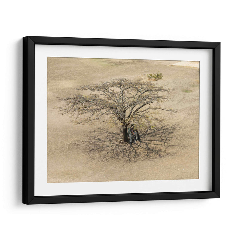 Sobra de árbol en Monte Albán - Wandering Pixels Co. | Cuadro decorativo de Canvas Lab