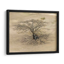 Sobra de árbol en Monte Albán - Wandering Pixels Co. | Cuadro decorativo de Canvas Lab