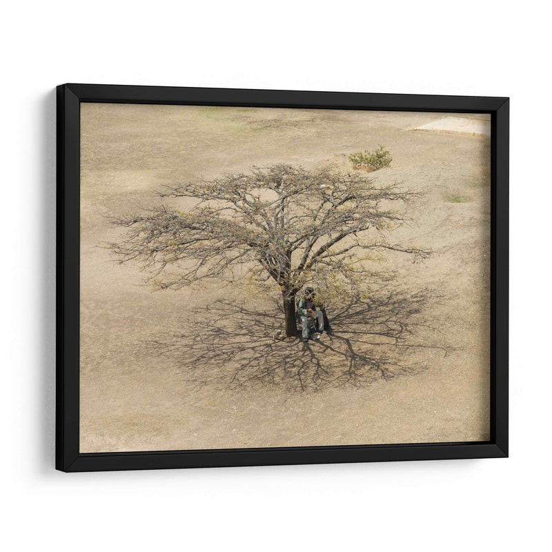 Sobra de árbol en Monte Albán - Wandering Pixels Co. | Cuadro decorativo de Canvas Lab