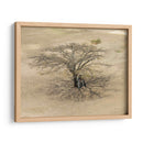 Sobra de árbol en Monte Albán - Wandering Pixels Co. | Cuadro decorativo de Canvas Lab