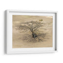 Sobra de árbol en Monte Albán - Wandering Pixels Co. | Cuadro decorativo de Canvas Lab