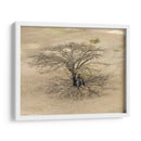 Sobra de árbol en Monte Albán - Wandering Pixels Co. | Cuadro decorativo de Canvas Lab