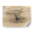Sobra de árbol en Monte Albán - Wandering Pixels Co. | Cuadro decorativo de Canvas Lab