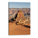 Paisaje naranja del Gran Cañon  - Wandering Pixels Co. | Cuadro decorativo de Canvas Lab