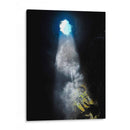 ENTRADAS DE LUZ - SOTANO DE LAS GOLONDRINAS, MEXICO - HiLalo | Cuadro decorativo de Canvas Lab