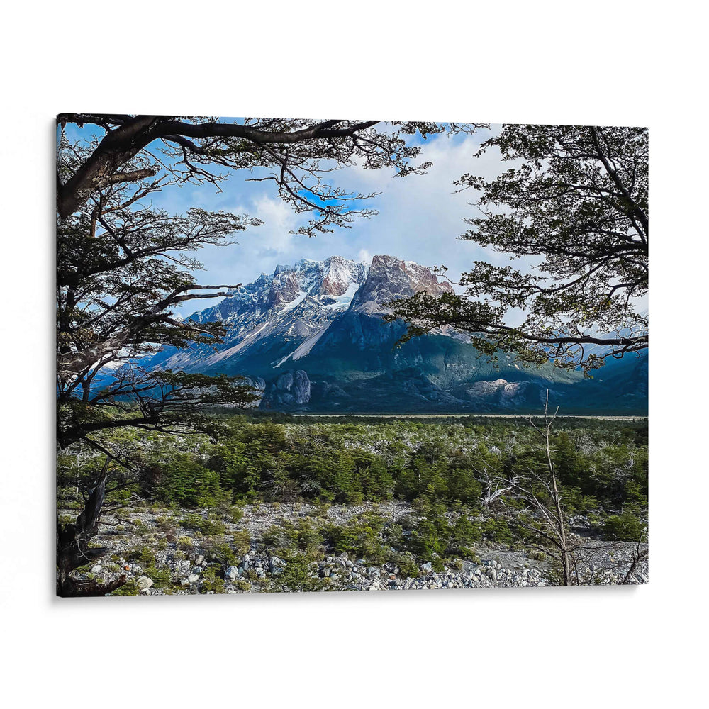 GIGANTE PATAGONIA - PATAGONIA, ARGENTINA - HiLalo | Cuadro decorativo de Canvas Lab